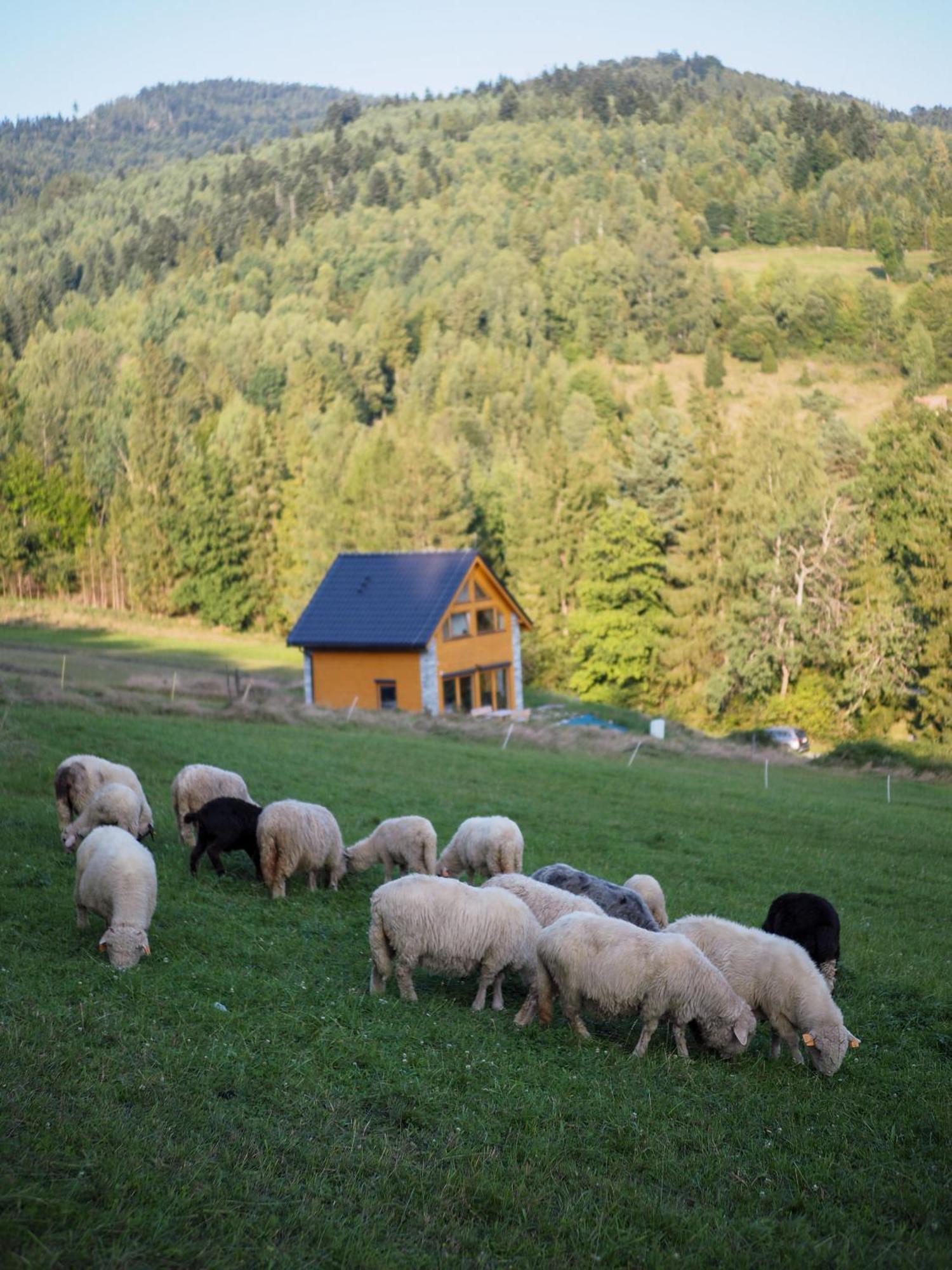 Chalet Hillout - W Milowce - Workation - Praca Zdalna Milowka